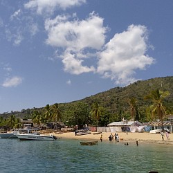 Nosy komba