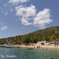 Nosy komba