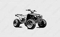 Quad